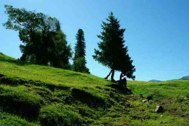 新疆---伊犁那拉提大草原,图一
