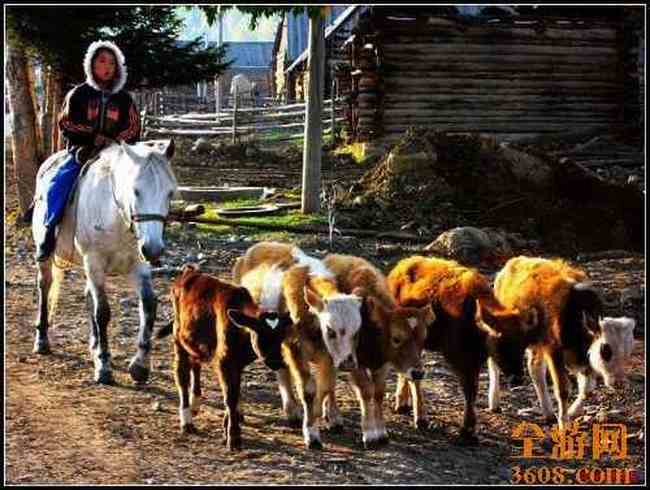 新疆白哈巴村,图三