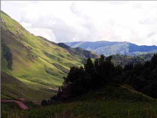 新疆夏尔希,图九