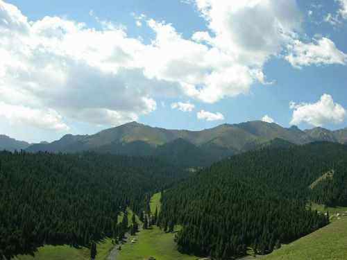 新疆 - 南山牧场,图四
