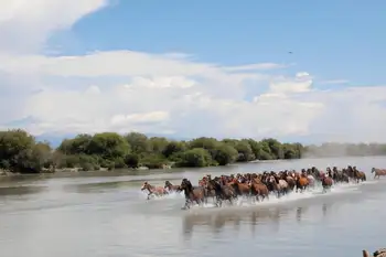 昭蘇濕地公園,天馬浴河,圖四