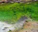 碧水漣漪——庫車小龍池