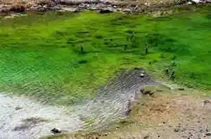 碧水涟漪——库车小龙池