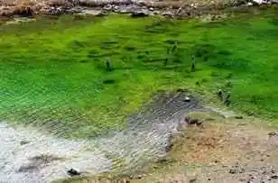 碧水涟漪——库车小龙池