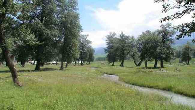 新疆拉那提草原,图二