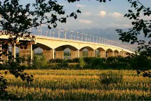 新疆伊犁河二桥雄姿