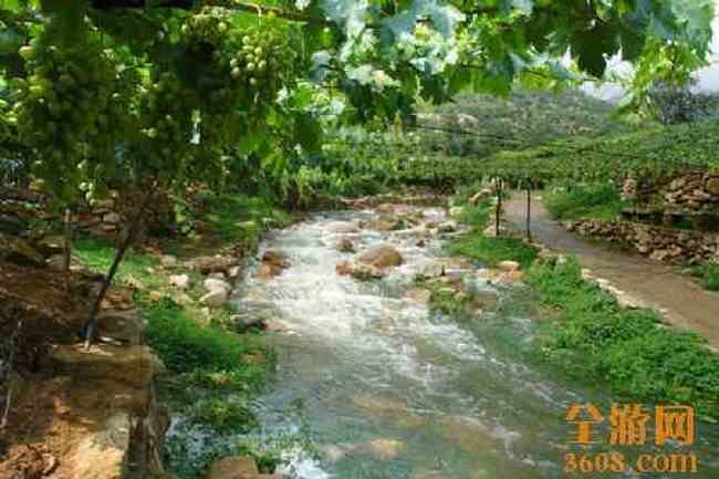 葡萄沟风光,图六