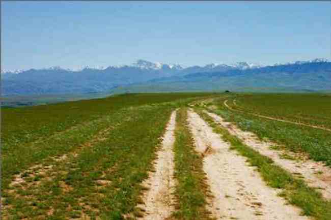 吉尔格郎田园风光,图五
