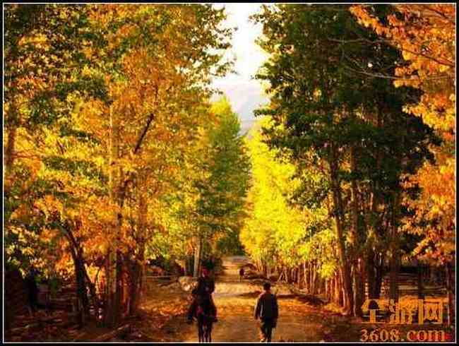 南山风景区,图八