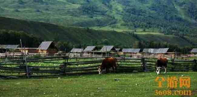 新疆旅游,圖八