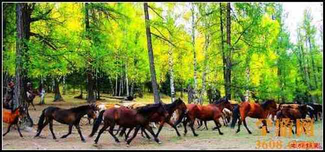 新疆北疆风光,图二十三