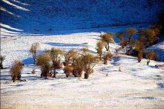 冰雪唐布拉,图三