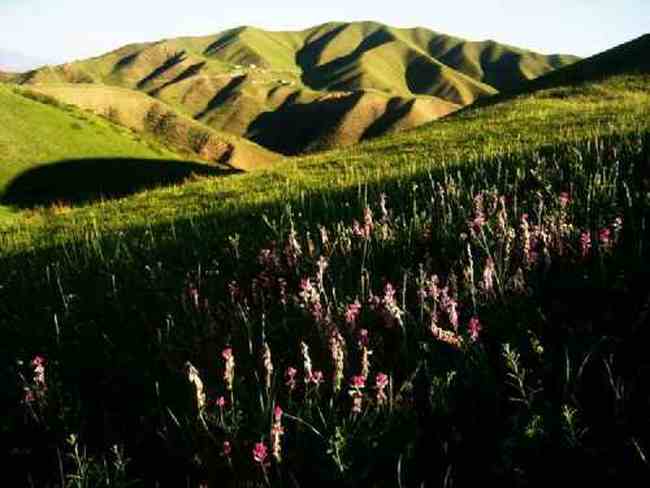 新疆南山小渠子风光,图一