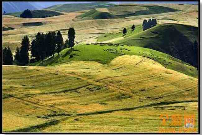 江布拉克 摄影的天堂,图一