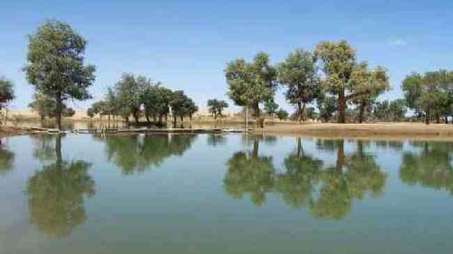 新疆--罗布泊村寨风光,图五