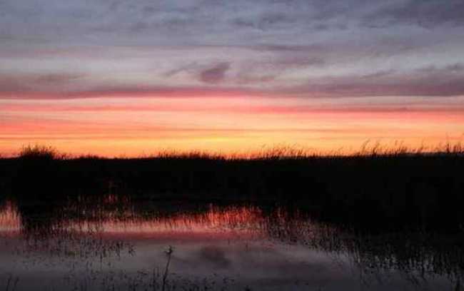 哈巴河：血色残阳 湿地夕照,图九