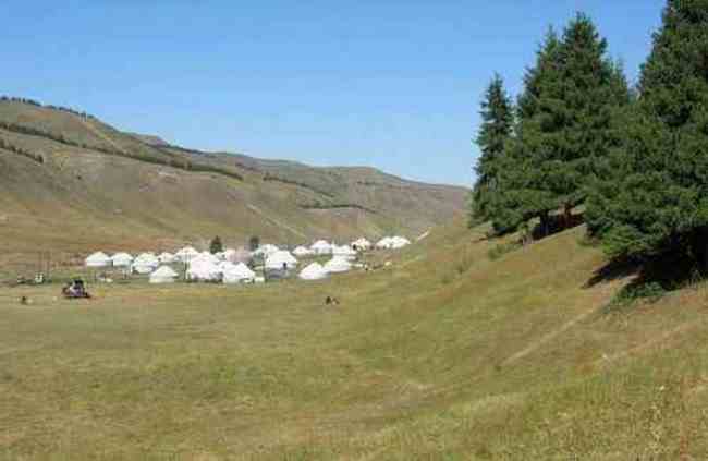 新疆 - 南山牧场,图五