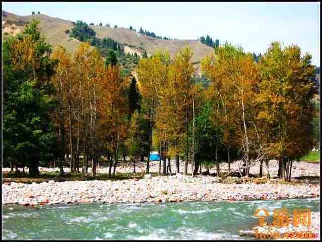 新疆库尔德宁,图三