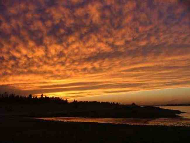 新疆大莫乎尔转场,图十八