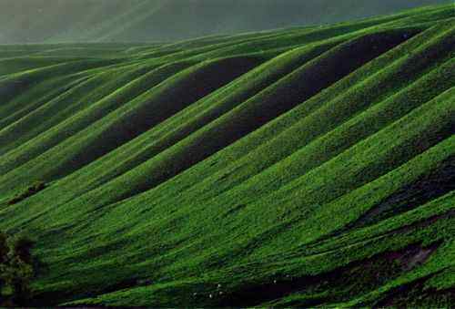 新疆鹿角湾风景,图一