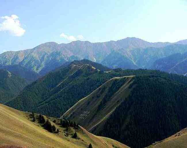 伊犁果子沟,图一