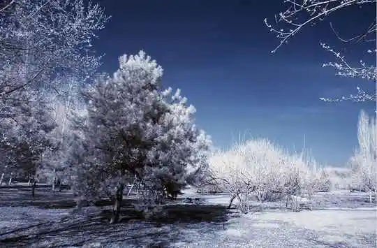 美丽的乌鲁木齐