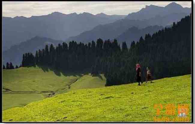 江布拉克 摄影的天堂,图十