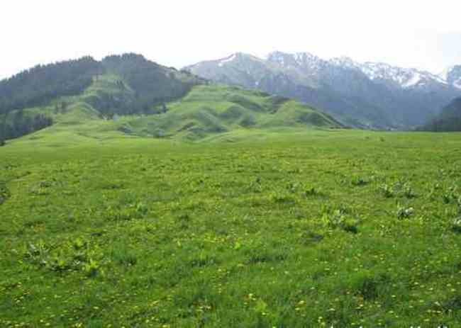 新疆恰西河谷风光,图四