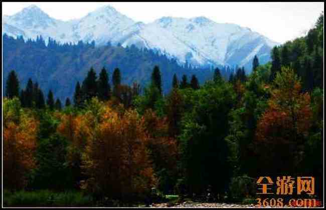 新疆库尔德宁,图十二