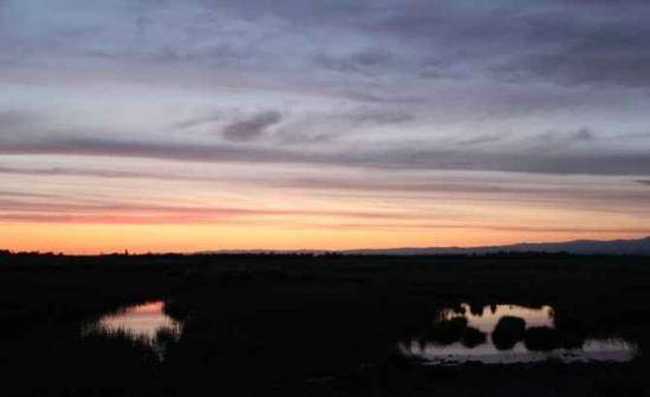 哈巴河：血色残阳 湿地夕照,图十七