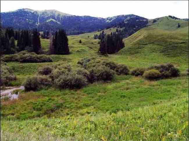 新疆夏尔希,图三