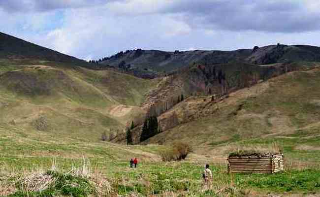 新疆夏爾希里自然保護區(qū),圖九