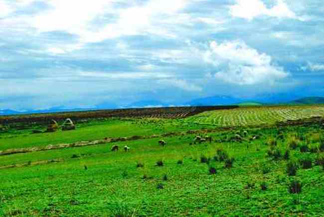 新疆库尔德宁风光,图八
