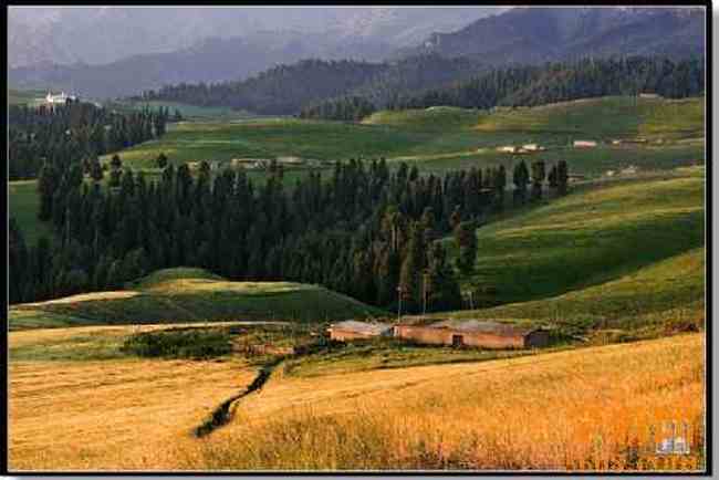 江布拉克摄影的天堂,图十三