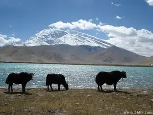 慕士塔格峰