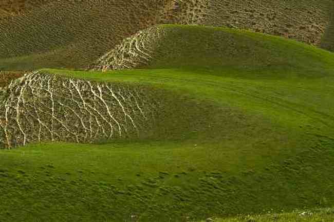 伊犁美景,图十一