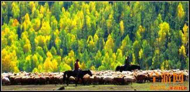 新疆北疆风光,图九