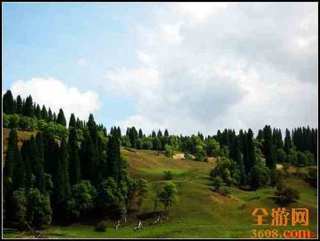 新疆库尔德宁,图八