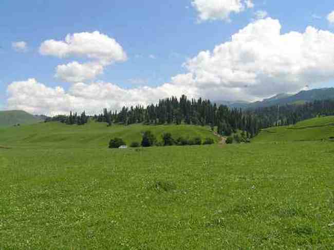 新疆拉那提草原,图四