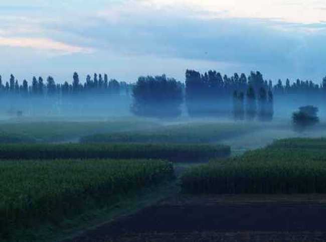 新疆佳信莊園晨曦,圖一