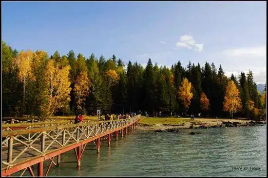 喀纳斯风光组图