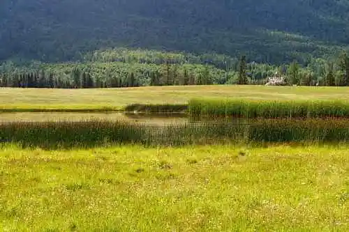 新疆喀纳斯风光