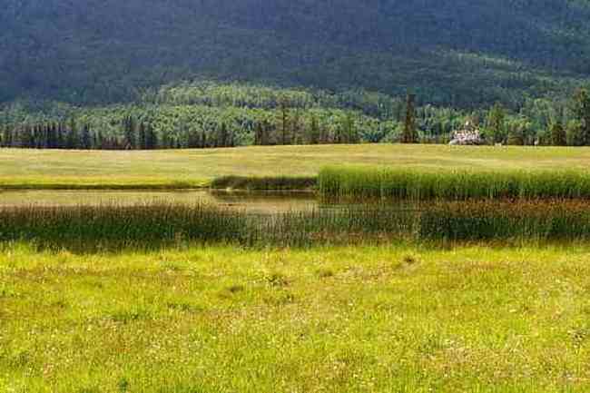 新疆喀纳斯风光,图十