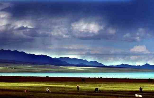 新疆依犁风光,图四