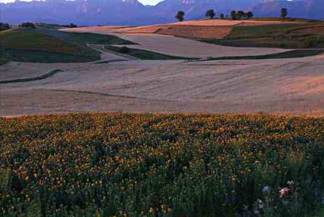 新疆奇台半截沟风光,图三