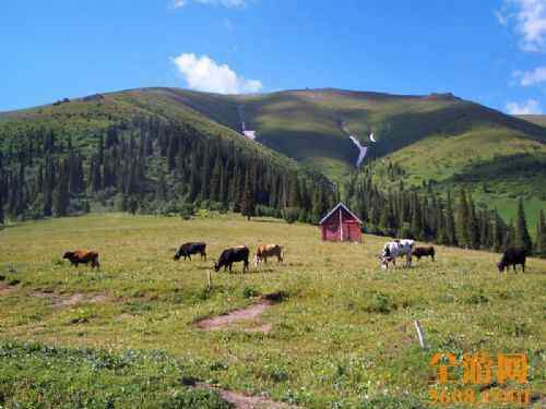 阿勒泰风光,图八