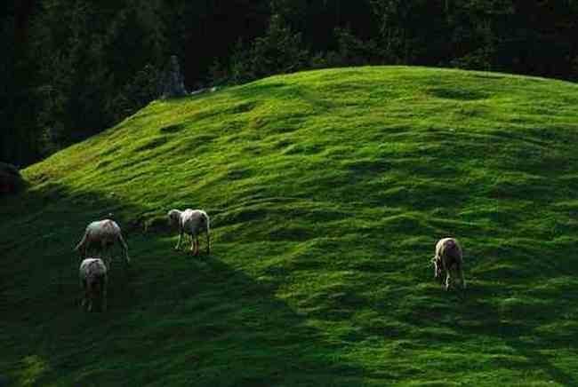 新疆布拉克风光,图七