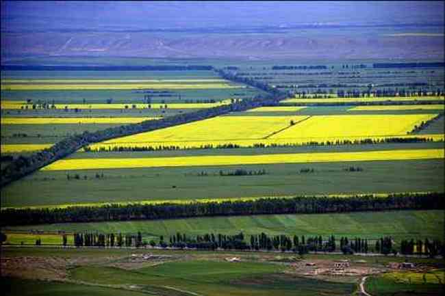 新疆昭苏行,图二