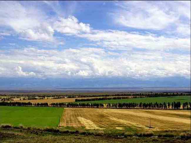 新疆昭苏高原风光,图四