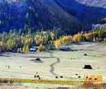 世外桃源白哈巴